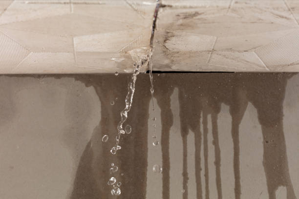 Professional Sewage Cleanup technician working in Olivia, NC